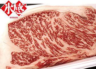 氷感保存の牛肉