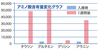 氷感熟成を行った牛ヒレ肉のアミノ酸含有変化グラフ